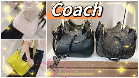 coach teri hobo bag dupe